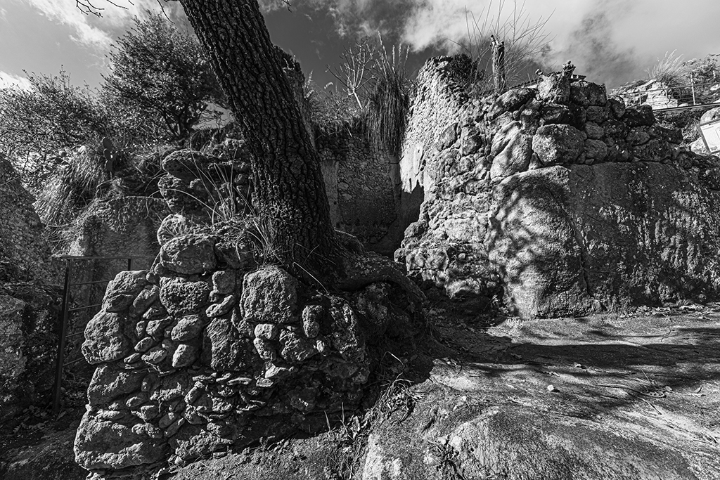 9 Francesco Laganà