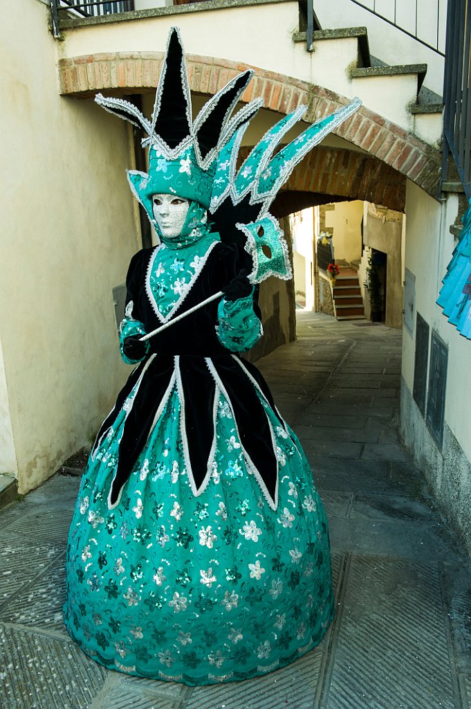Carnevale-Castiglion-Fibocchi-Febbraio-58 Massimo Puccetti