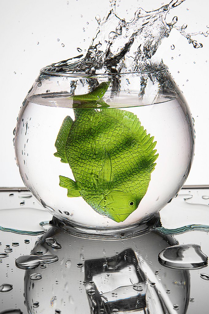 Pesce-verde Maurizio D'Arcangelo