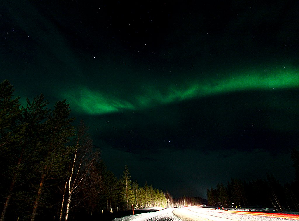 Northern-lights69 Monica Giudice