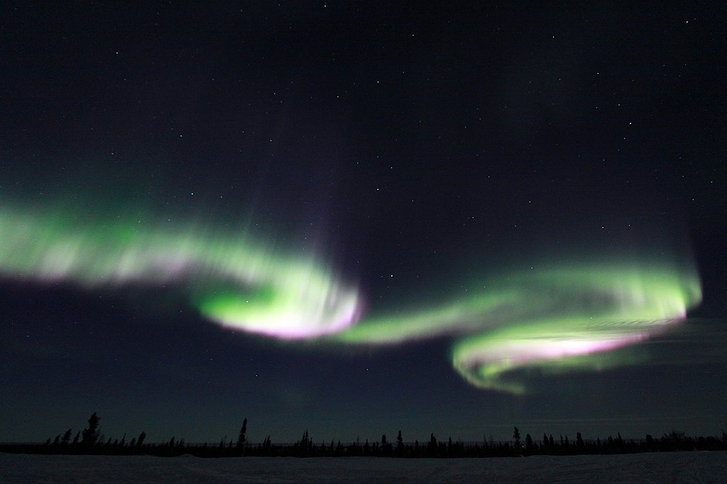 Northernlights98 Monica Giudice