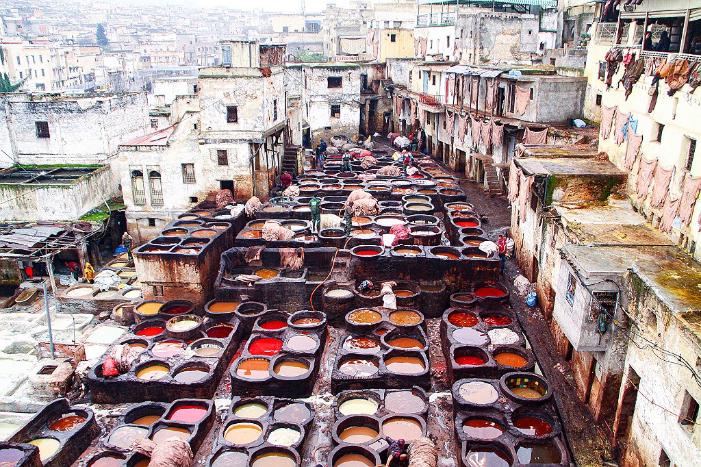 Tannery28 Monica Giudice
