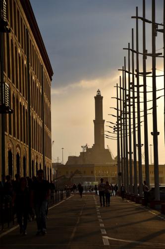 20-Zunino-Lorena Mostra cartacea a Savona Palazzo della Provincia 15-23 Ottobre 2023