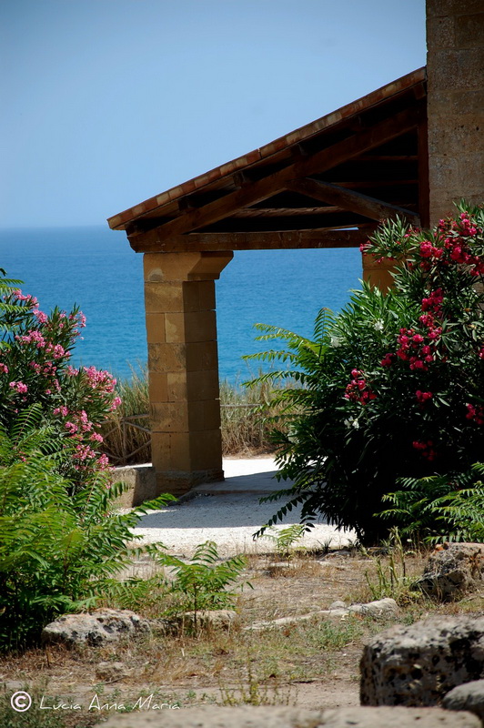 Selinunte_resize Anna Maria Lucia