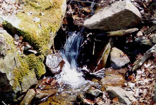acqua Annamaria Pietropaolo