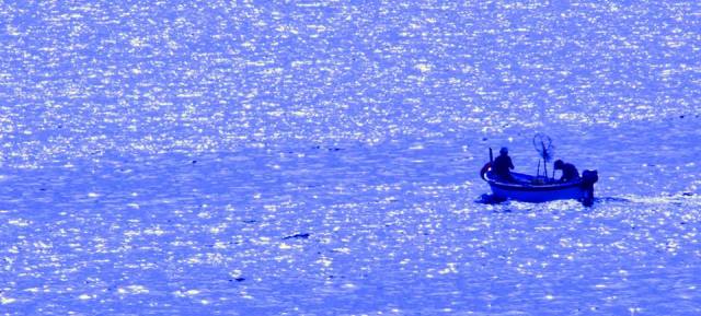 BLU Antonio Delfino