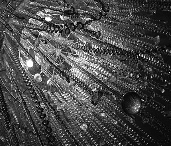 crystal Chiara Salandin Arcadipane