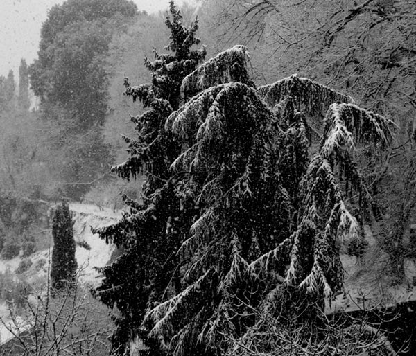 snowinginsiena Chiara Salandin Arcadipane