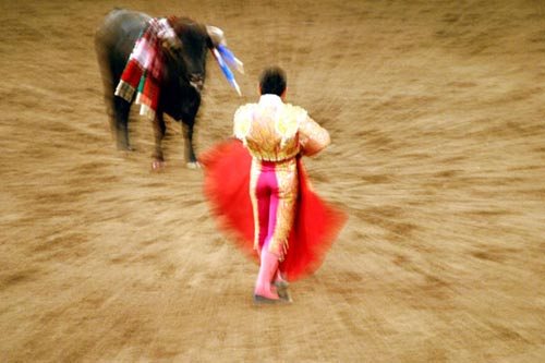 torero Davide Cardello