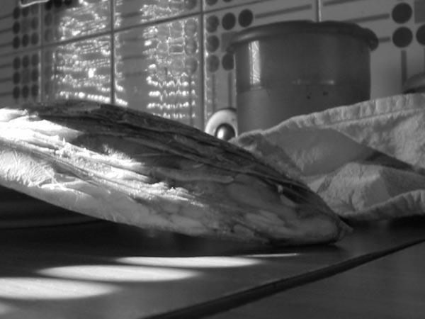 fish1 Luca Agostino
