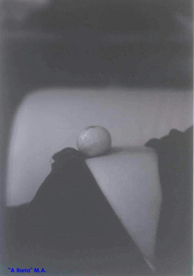 a-Ilaria Massimiliano Arcari