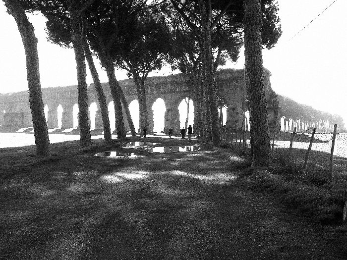 03_-m.maggi_ Maurizio Maggi