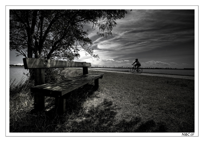 To-the.-Light Nicola Giaretta