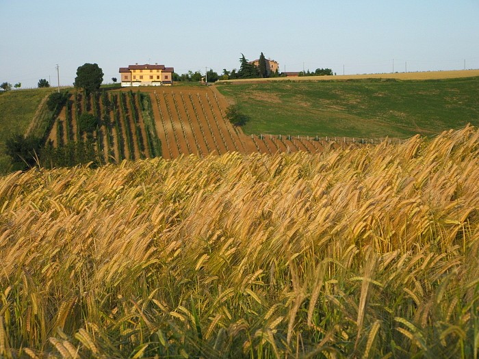 Colline-Modenesi-2 Stefano Paris
