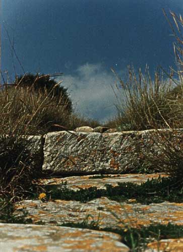 selinuntepaesaggio Tommaso Gambino