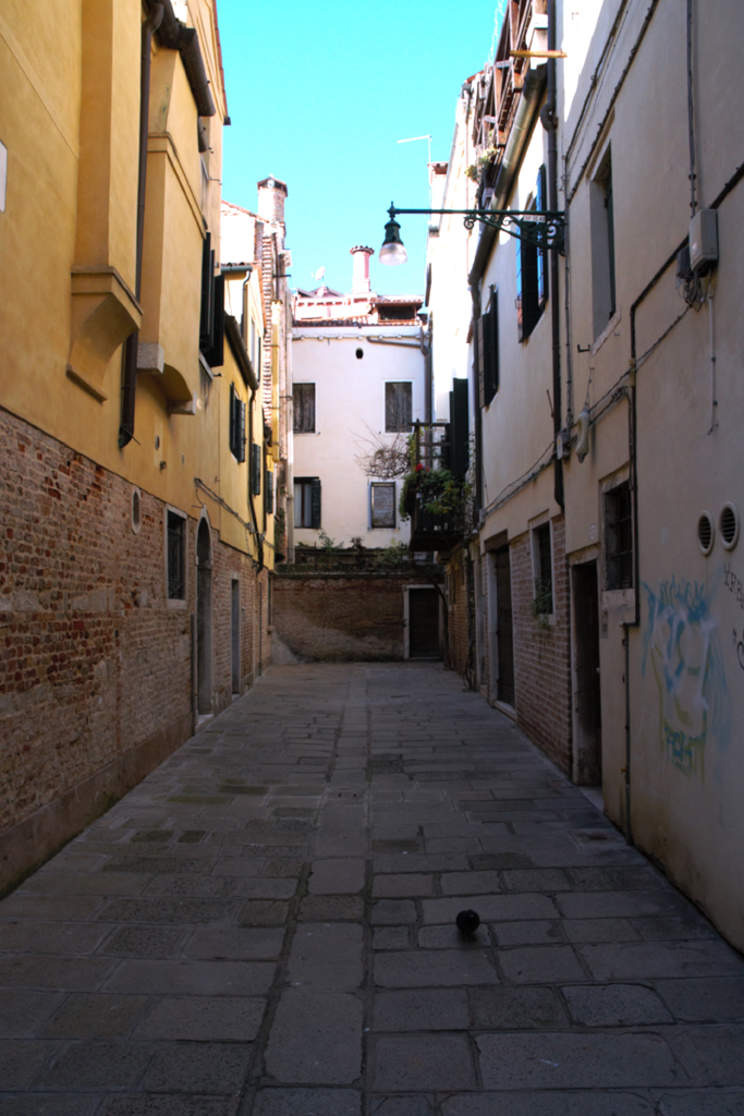 06 Venezia di Pietro Perottino