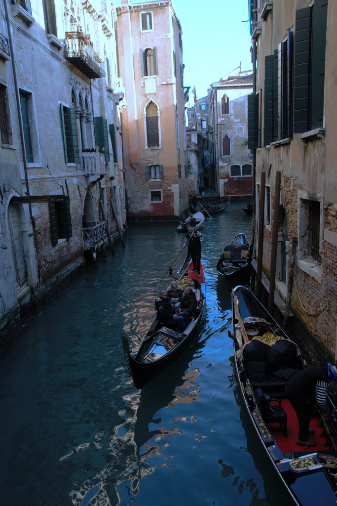 12 Venezia di Pietro Perottino