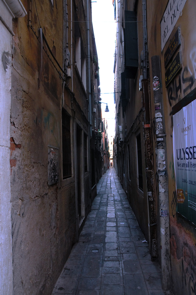 15 Venezia di Pietro Perottino