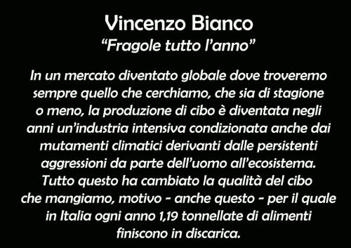 31 1° Concorso Fotografico "Rassegna portfolio" 2023