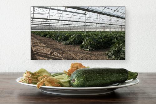 33 1° Concorso Fotografico "Rassegna portfolio" 2023
