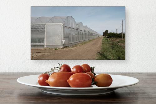 35 1° Concorso Fotografico "Rassegna portfolio" 2023