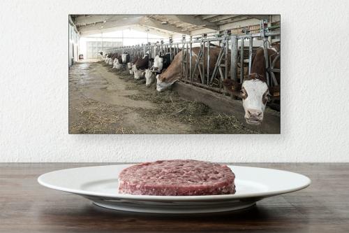 41 1° Concorso Fotografico "Rassegna portfolio" 2023