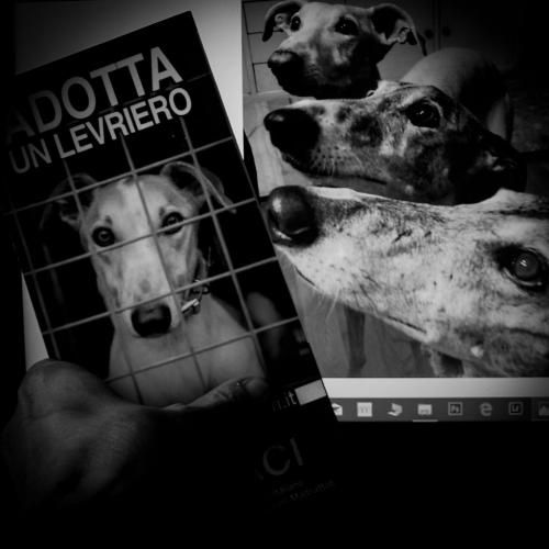 54 1° Concorso Fotografico "Rassegna portfolio" 2023
