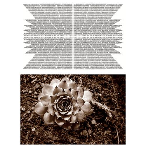 71 1° Concorso Fotografico "Rassegna portfolio" 2023