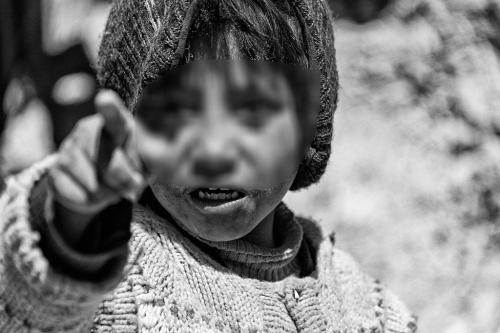 11_grappolini 2° Concorso Fotografico "Rassegna portfolio" 2024