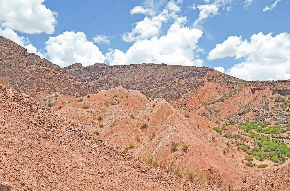 bolivia-251-rr- Raffaello Spanò