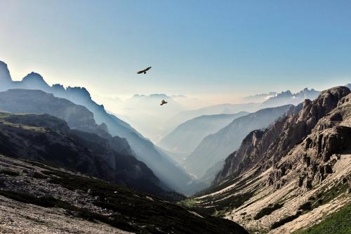 never-below-1500-1 Riccardo Caroli
