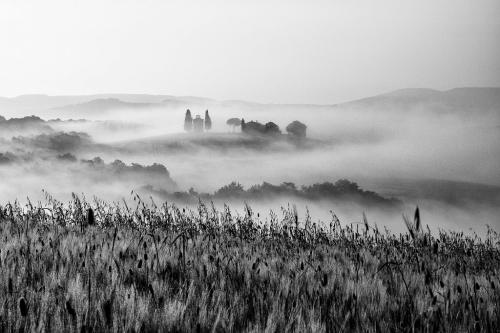 43_B1_TERZO-PREMIO_QUIETI-LAURA 10° CONCORSO FOTOGRAFICO "Città di Anghiari" - 2024