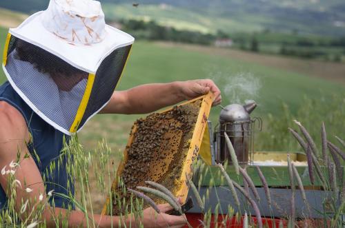 PREMIO-LAVORO-IL-CLIMA-MONICA-GIORGI 11° CONCORSO FOTOGRAFICO NAZIONALE "a Lecca" 2024