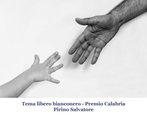 09-Premio-Calabria 12° Cfn aLecca