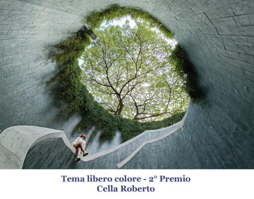02-Tema-libero-colore-2°-premio 12° Cfn aLecca
