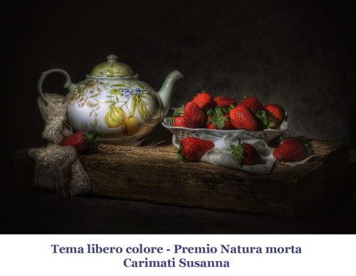 11-Tema-libero-colore-Premio-natura-morta 12° Cfn aLecca
