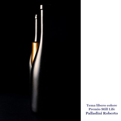 13-Tema-libero-colore-Premio-still-life 12° Cfn aLecca
