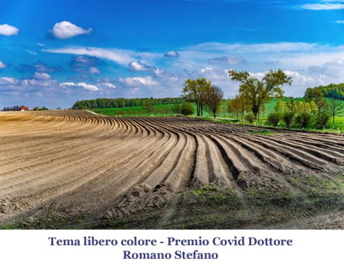 15-Tema-Libero-colore-Premio-Covid-Dottore 12° Cfn aLecca