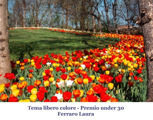 24-Tema-libero-colore-Premio-under-30 12° Cfn aLecca