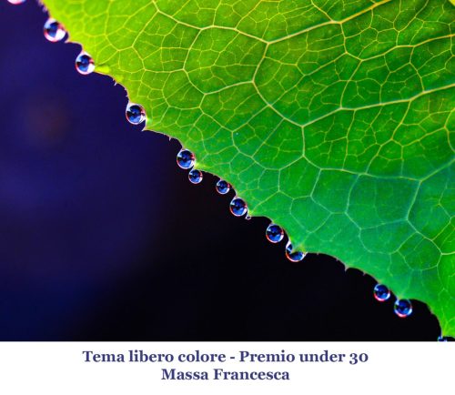 25-tema-libero-colore-Premio-under-30 12° Cfn aLecca