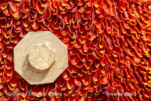 segnalata-infiorate-BIANCO-VINCENZO-titolo-Castiglione-del-lago-4 13° Concorso fotografico Nazionale“Infiorate d’Italia” e “Mondo vegetale”