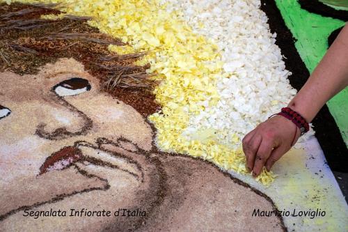 segnalata-infiorate-LOVIGLIO-MAURIZIO-titolo-Pietra-Ligure-001 13° Concorso fotografico Nazionale“Infiorate d’Italia” e “Mondo vegetale”
