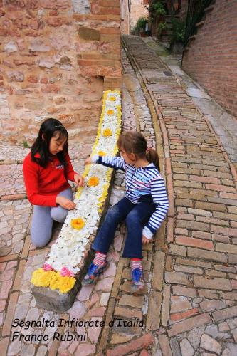 segnalata-infiorate-RUBINI-FRANCO-Come-un-gioco 13° Concorso fotografico Nazionale“Infiorate d’Italia” e “Mondo vegetale”