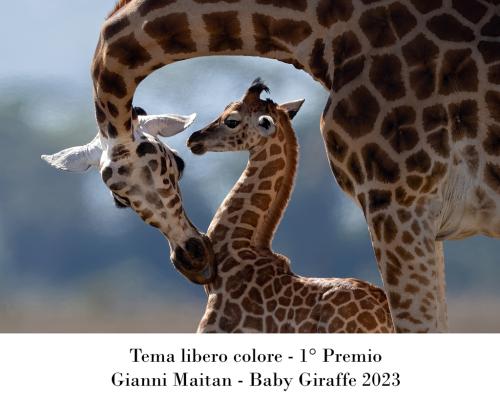 01 1° CONCORSO FOTOGRAFICO NAZIONALE "FOTOGRAFICAMENTE"