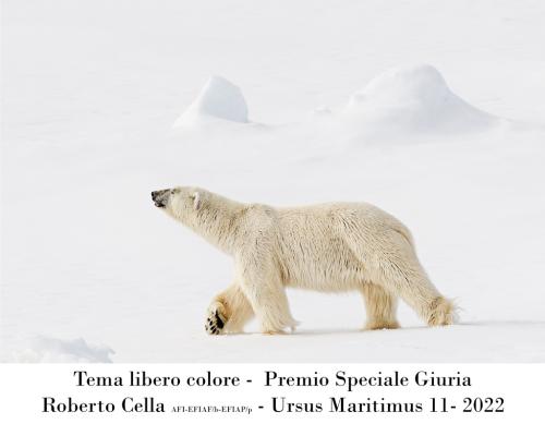 05 1° CONCORSO FOTOGRAFICO NAZIONALE "FOTOGRAFICAMENTE"