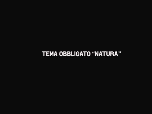 natura 23° CONCORSO FOTOGRAFICO "NATURA" - LA GENZIANA PESCARA