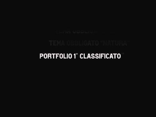 portfolio-1 23° CONCORSO FOTOGRAFICO "NATURA" - LA GENZIANA PESCARA