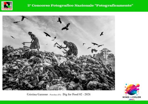 11 2° C.F.N. Fotograficamente