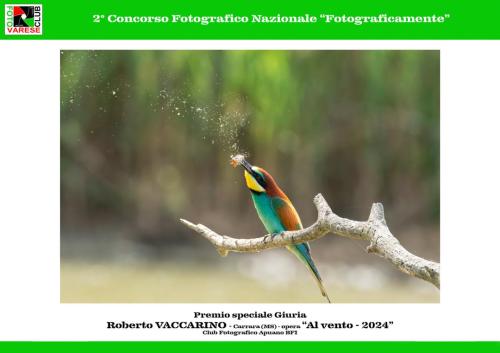 21 2° C.F.N. Fotograficamente