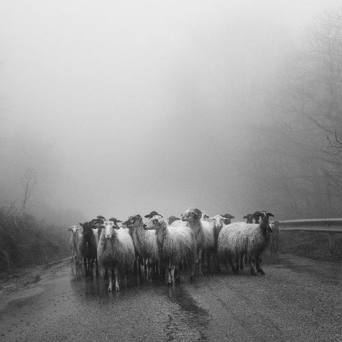 Davanti-all-ignoto-di-Troilo-Sonia-Migliore-Autore-Regione-Sicilia 5° CONCORSO FOTOGRAFICO CITTA' DI SAN GIOVANNI IN FIORE